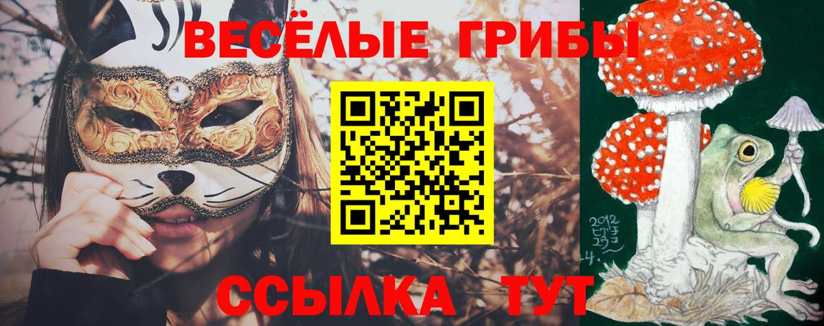 Псилоцибиновые грибы Magic Shrooms Усть-Джегута