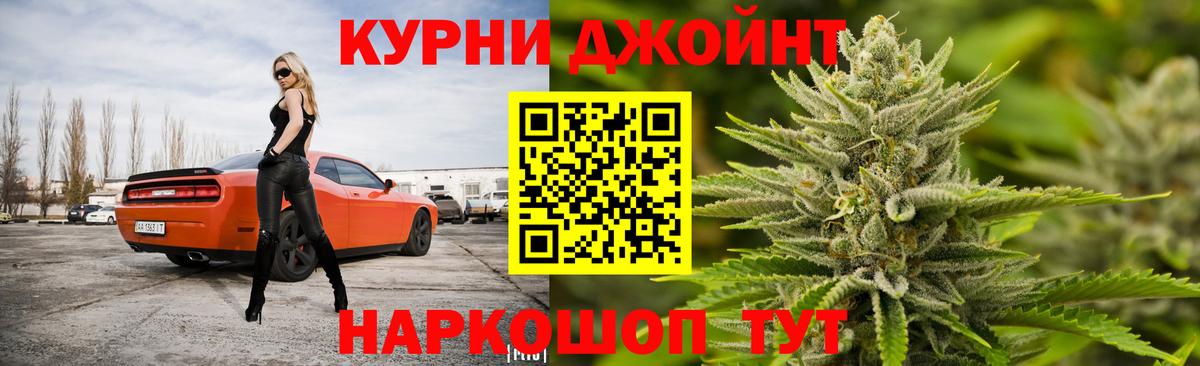 Каннабис сатива Усть-Джегута